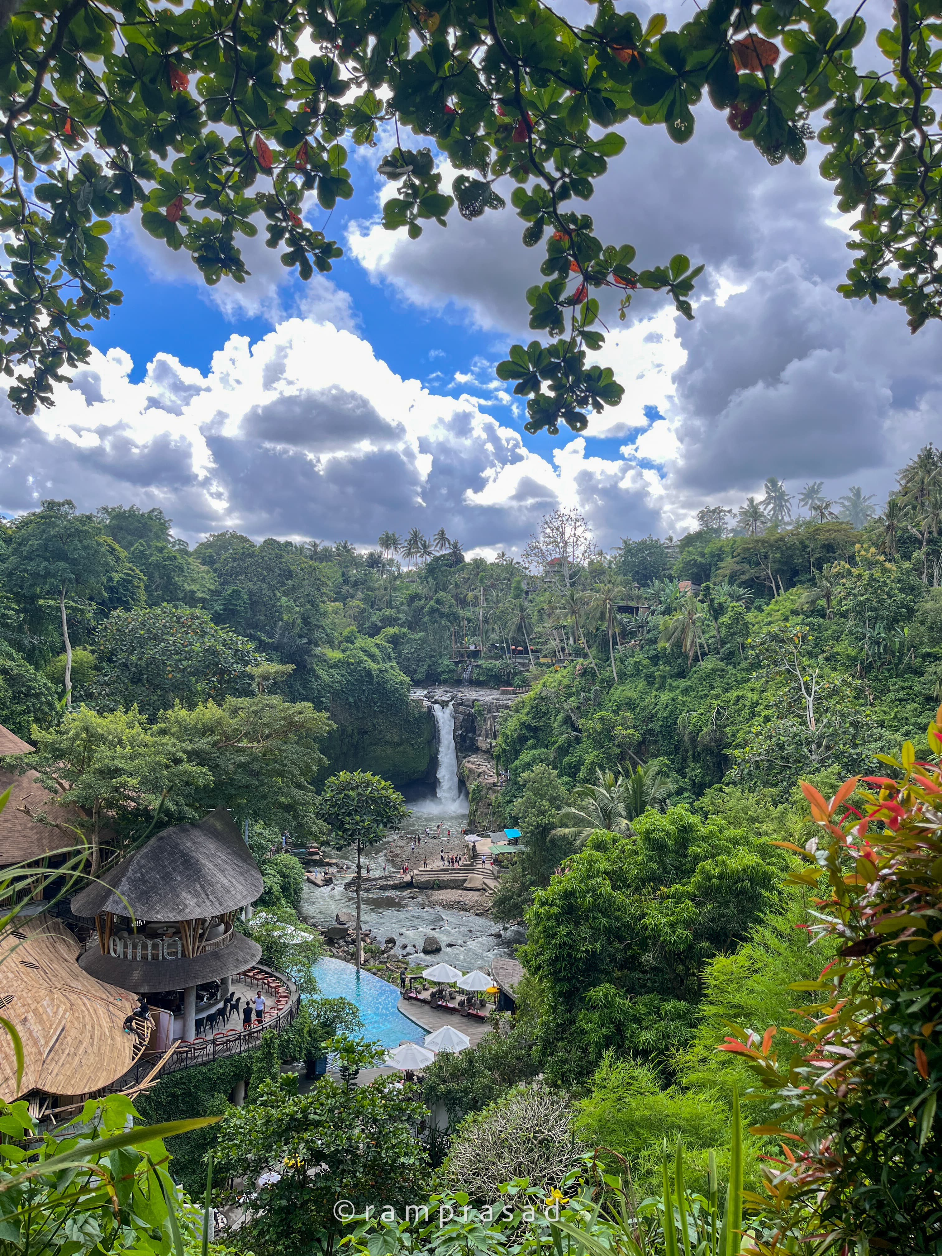 Lush jungle landscape in Bali Indonesia