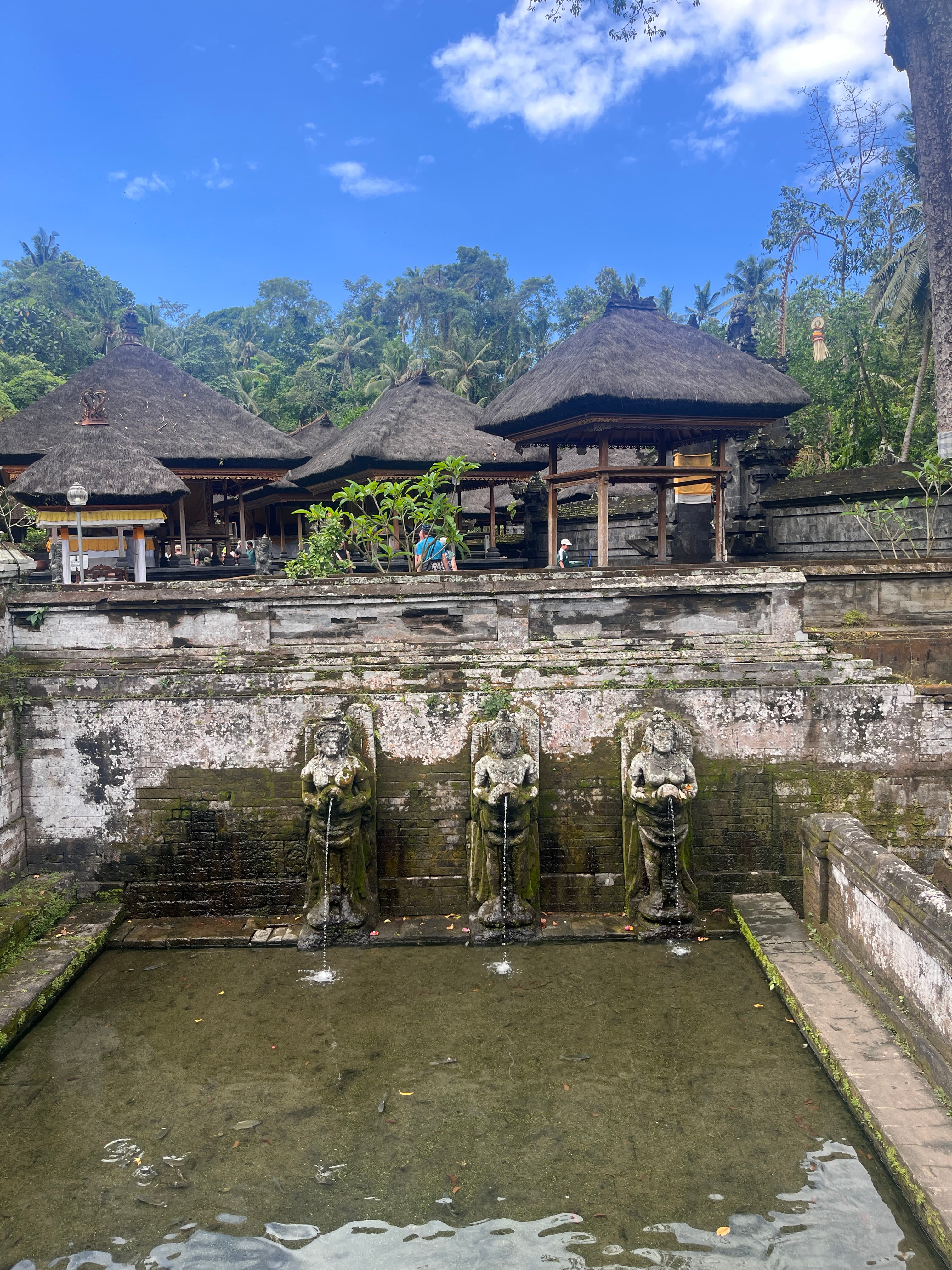 Tirta Empul water temple holy spring Bali