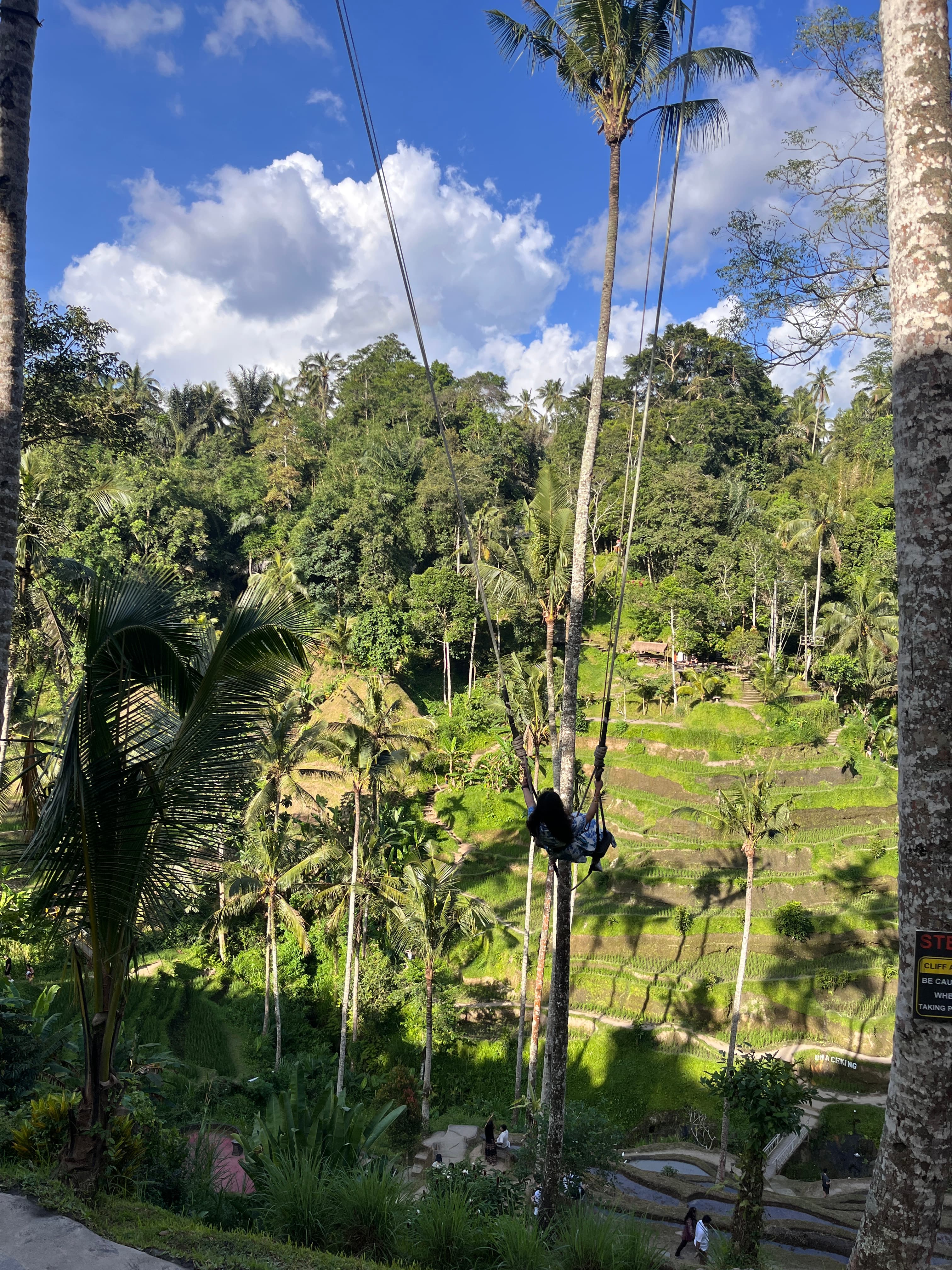 Ubud rice terraces landscape Bali Indonesia